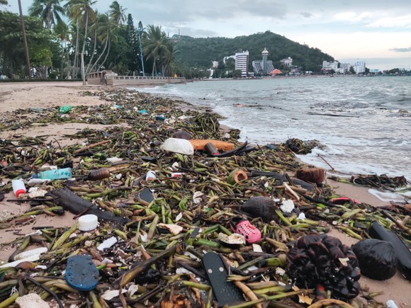 Thu gom hàng chục tấn rác thải dạt vào bờ biển Vũng Tàu ảnh 2