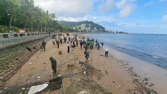 Cán bộ, viên chức cùng nhau dọn rác dạt vào bãi biển Vũng Tàu ảnh 1
