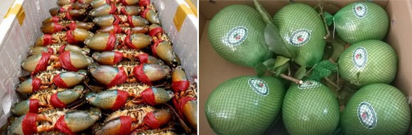 金甌螃蟹和綠皮柚。（示意圖源：互聯網）