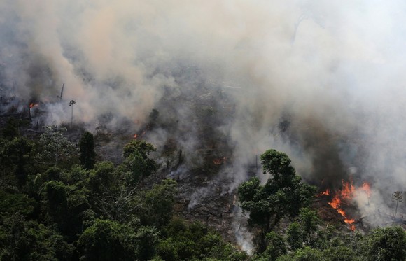 頻發的火災對亞馬孫雨林地區氣候環境造成巨大負面影響。（圖源：互聯網）