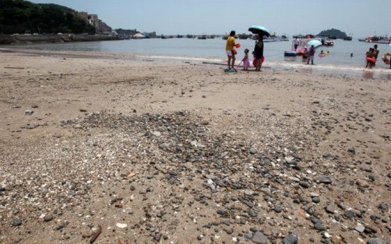 最新研究顯示，受氣候變化引發的沿海洪災和人類活動干擾的影響，到本世紀末，全球近一半的沙灘將顯著退化。（圖源：互聯網）