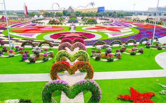 迪拜“奇跡花園”一瞥。（圖源：互聯網）