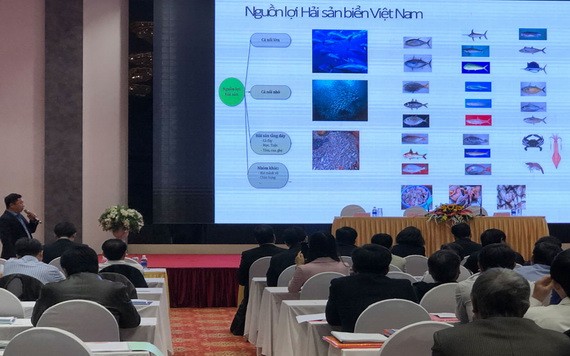圖為2020年水產資源保護與發展計劃總結與2020年越南海洋保護區系統規劃會議現場。