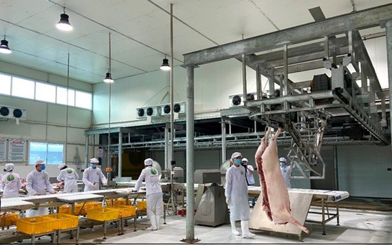 越南MM Mega Market公司在北部開設的首個豬肉中轉站已於最近正式投入活動。