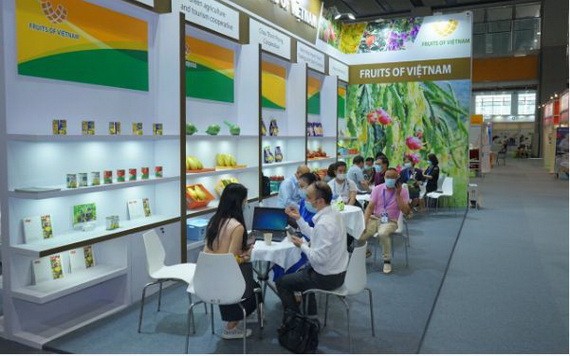 越南企業按“遠程展會”模式參加2021年中國廣州水果博覽會的展位。
