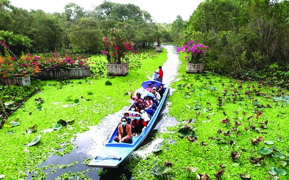 遊客坐船遊覽茶師白千層森林。
