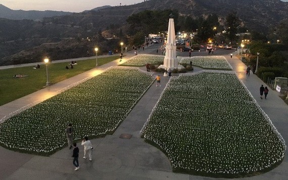 美國加州格里斐斯天文台放置白色小旗，紀念新冠肺炎死者。（圖源：推特）