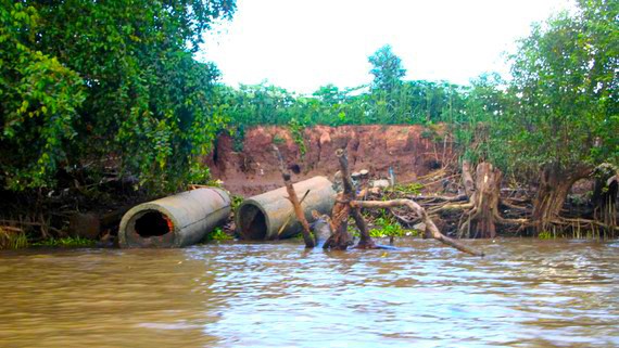 Cần đánh giá khoa học về việc gây sạt lở của tàu cao tốc trên sông Hậu ảnh 2
