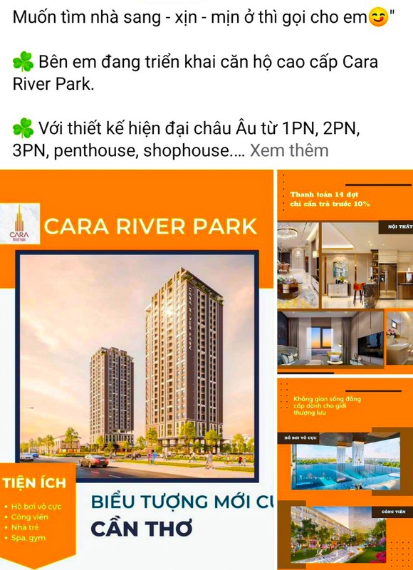 Cần Thơ: Chấn chỉnh hoạt động quảng cáo, rao bán không đúng quy định tại dự án chung cư Cara River Park ảnh 2