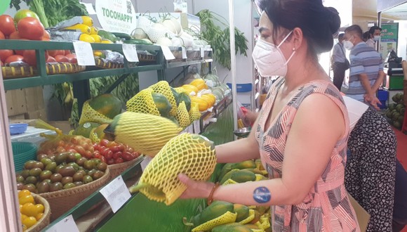 TPHCM hỗ trợ doanh nghiệp ký kết đơn hàng trực tuyến ảnh 2
