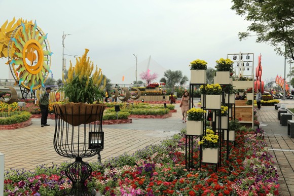 Nhộn nhịp đường hoa xuân Đà Nẵng ảnh 2