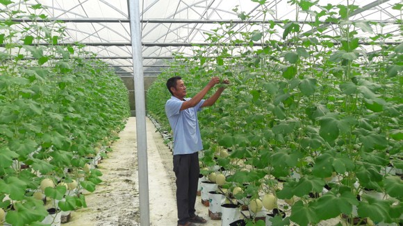 Xây dựng Hòa Vang theo hướng đô thị có bản sắc riêng ảnh 2