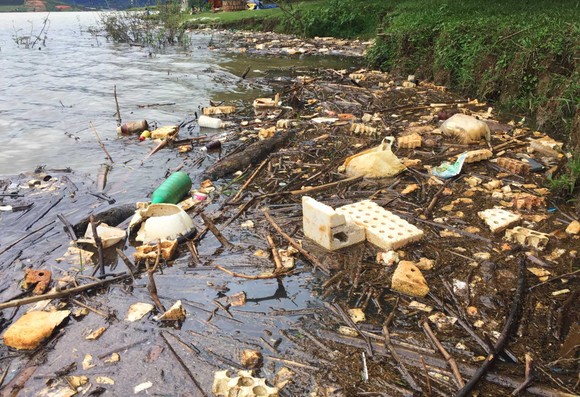 Hồ cấp nước sạch cho Đà Lạt tràn ngập rác thải nông nghiệp ảnh 3