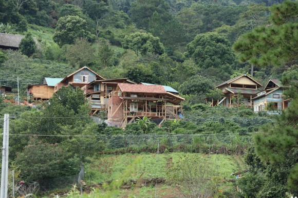 Lâm Đồng chỉ đạo xử lý nghiêm vụ hàng chục căn nhà xây trái phép giữa đất rừng ảnh 1