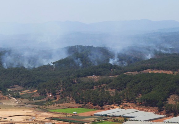Ngăn chặn, dập tắt ngay các điểm cháy rừng ở Lâm Đồng ảnh 2