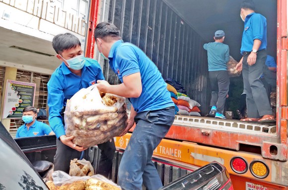 Thêm nhiều xe rau, củ từ Lâm Đồng hỗ trợ vùng dịch ở TPHCM và Phú Yên ảnh 9
