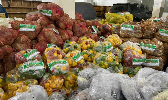 Lâm Đồng tiếp tục gửi 420 tấn rau, củ hỗ trợ các địa phương phòng, chống dịch ảnh 1