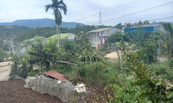Bắt đối tượng sát hại vợ rồi vào chòi canh cà phê trốn ảnh 1
