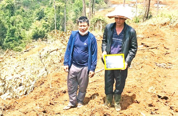Bắt giam đối tượng chủ mưu phá rừng quy mô lớn tại Lâm Đồng ảnh 1