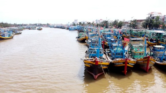 Sơ tán khẩn cấp gần 400.000 người dân tránh bão Con voi ảnh 7