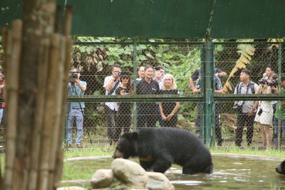  Maggie Q đến Việt Nam đặt tên cho gấu ảnh 1