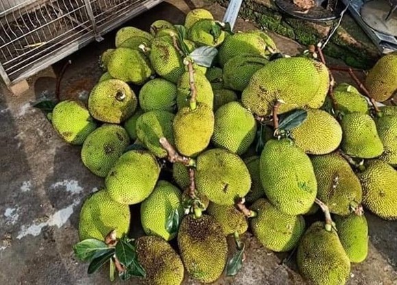Thiên tai đầu mùa làm 17 người thương vong ảnh 4
