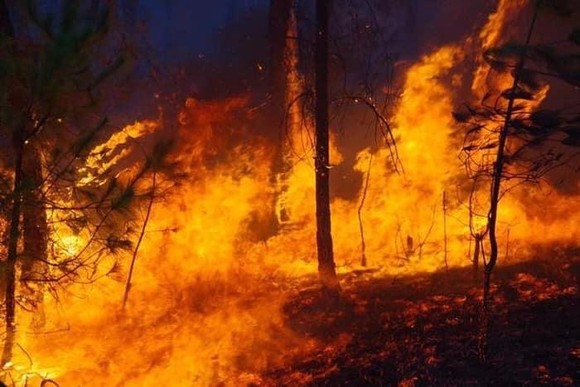 Nguy cơ cháy rừng tại các tỉnh phía Bắc và miền Trung vẫn còn rất cao ảnh 1