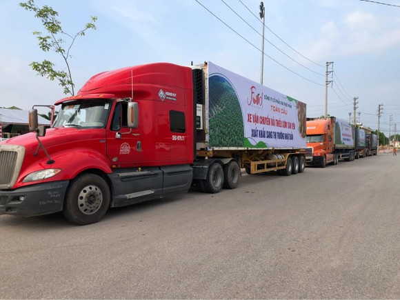 Vải thiều Việt Nam gây được tiếng vang sau 1 năm xâm nhập thị trường Nhật Bản ảnh 3