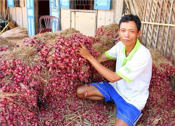 Nhiều nơi đang ùn ứ lượng lớn rau gia vị sau vụ 'mì Hảo Hảo' ảnh 1