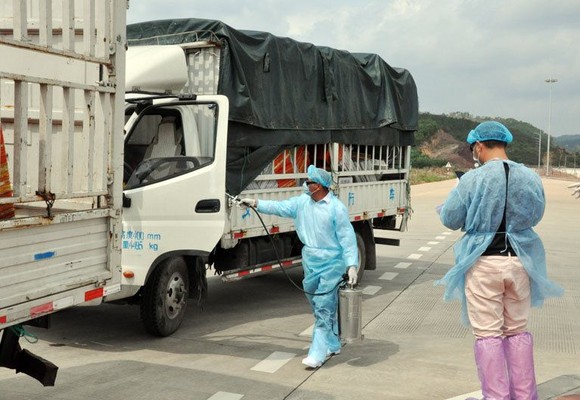 Trung Quốc tạm dừng nhập khẩu thanh long Việt Nam tại cửa khẩu Móng Cái ảnh 1
