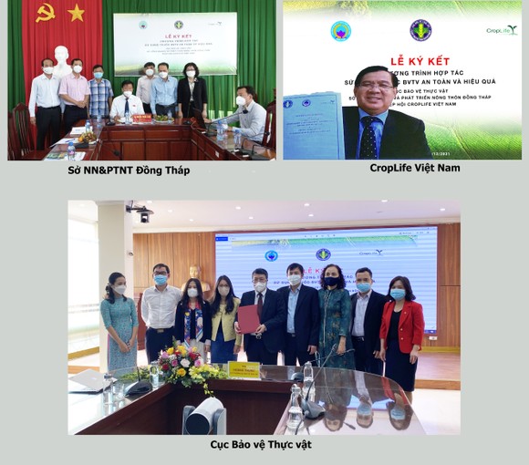 Ký kết sử dụng thuốc bảo vệ thực vật an toàn, phục vụ xuất khẩu nông sản ảnh 2