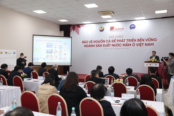 Bảo vệ nguồn cá bền vững để phát triển ngành sản xuất nước mắm ở Việt Nam ảnh 1