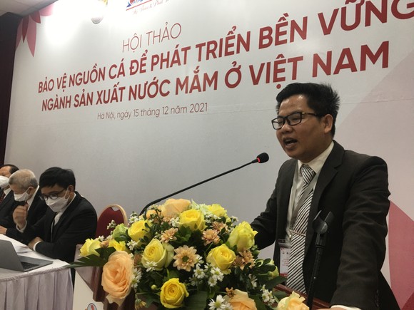 Bảo vệ nguồn cá bền vững để phát triển ngành sản xuất nước mắm ở Việt Nam ảnh 3