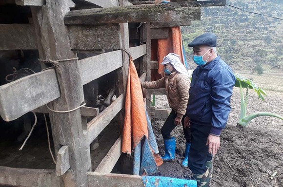 Miền Bắc sắp có đợt rét rất đậm, đe doạ hàng triệu gia súc ảnh 2