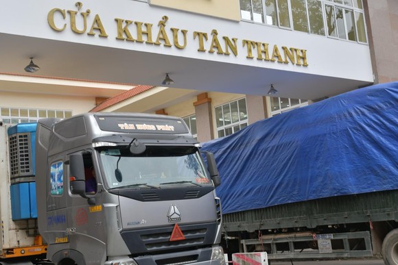 Trung Quốc cấp mã số xuất khẩu nông sản cho hơn 1.600 doanh nghiệp Việt Nam ảnh 1