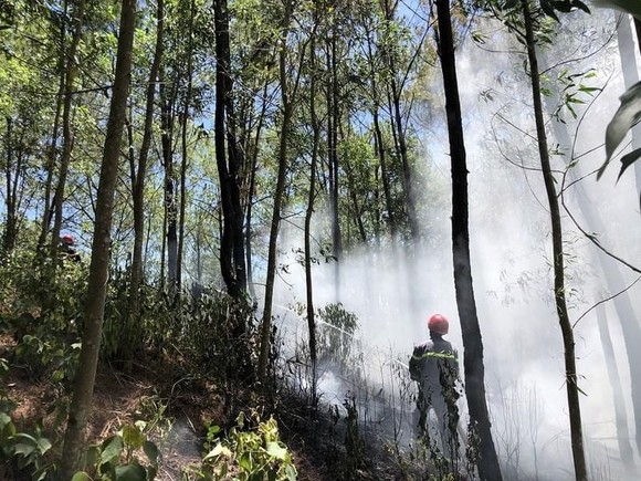 Tây Nguyên và Nam bộ có nguy cơ cháy rừng vì nắng nóng ảnh 1