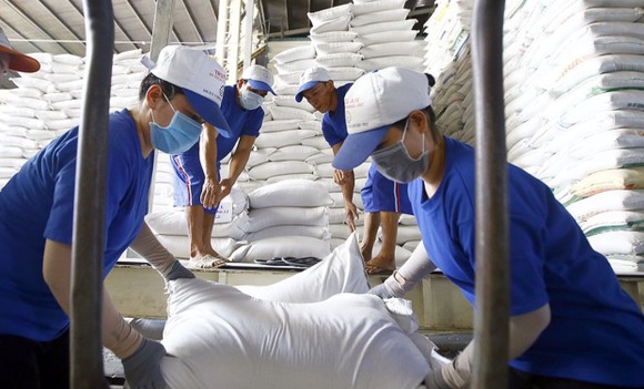Gạo Việt Nam tăng tốc xuất khẩu sang ASEAN ảnh 1
