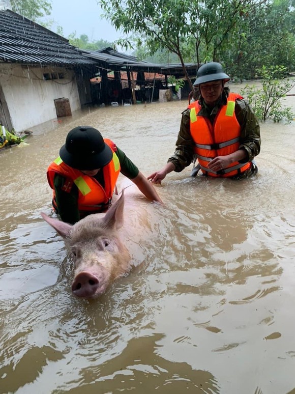 Mưa đầu mùa, miền Bắc ngập lụt nhiều nơi ảnh 2