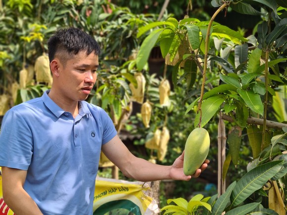 Nắng nóng tại Trung bộ ảnh 1