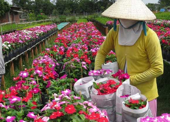 Nông dân tham gia tập huấn sử dụng thuốc bảo vệ thực vật an toàn ảnh 6