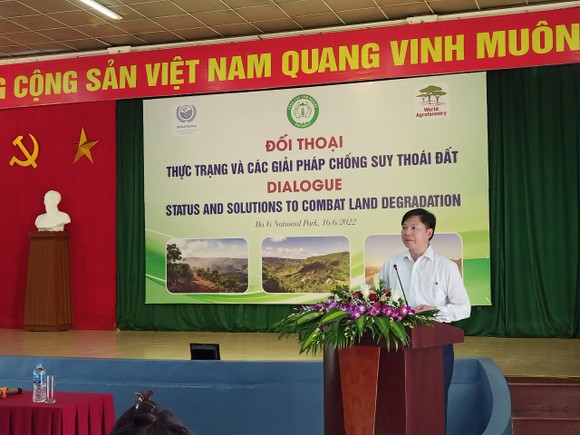 Việt Nam trồng cây để chống sa mạc hoá ảnh 2