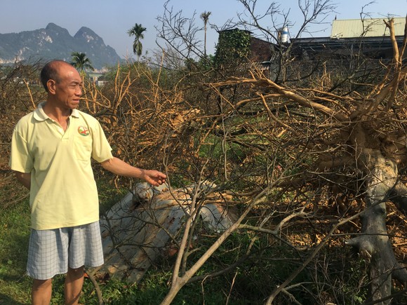 Bộ trưởng Lê Minh Hoan: Báo chí là công cụ hiệu quả nhất để truyền tải, lan tỏa cảm xúc tích cực ảnh 3