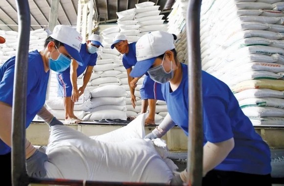 Lượng gạo Việt Nam xuất khẩu sang Anh sụt giảm 20% ảnh 1