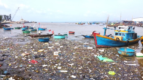 Sông Cà Ty chảy qua thành phố biển thơ mộng bị ô nhiễm nghiêm trọng ảnh 1