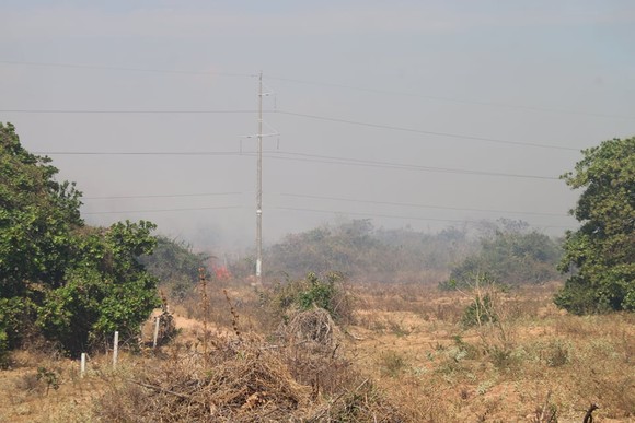 Cháy lớn đe dọa hàng loạt dự án điện gió, Chủ tịch huyện trực tiếp chỉ đạo dập lửa ảnh 3
