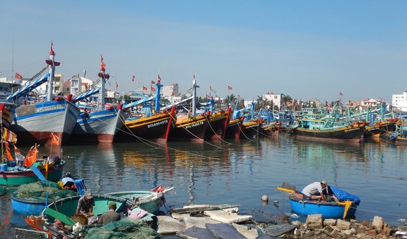 Bình Thuận chấn chỉnh hoạt động thuê tàu thuyền ra biển ảnh 1