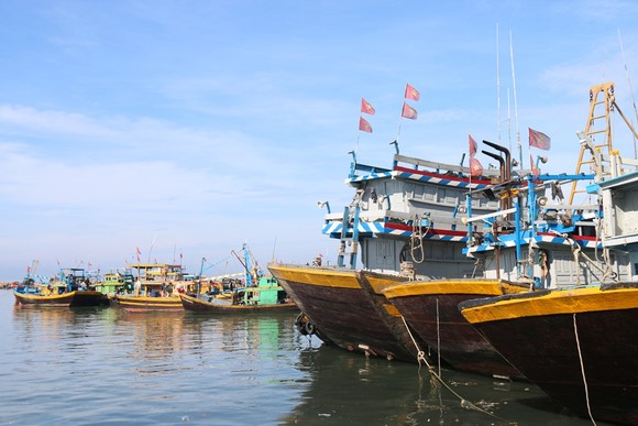 Ninh Thuận và Bình Thuận nghiêm cấm tàu thuyền ra khơi ảnh 1