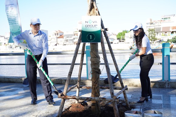 10 tỷ đồng cho chương trình trồng cây xanh tại tỉnh Bình Thuận ảnh 2