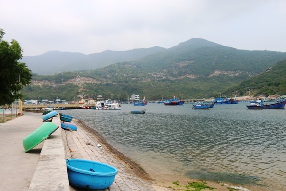 Ninh Thuận tổ chức 'Tuần lễ lướt ván diều quốc tế' ảnh 1