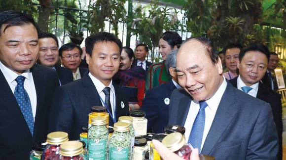 Thủ tướng Nguyễn Xuân Phúc và các đại biểu tham quan triển lãm.  Ảnh: TTXVN